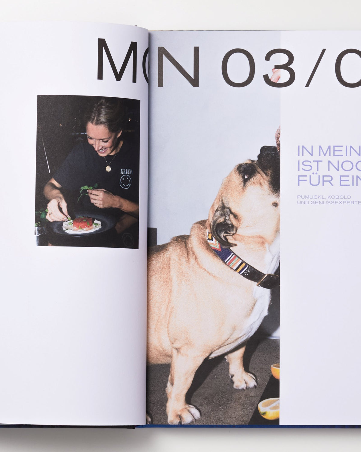 Aufgeschlagenes Buch mit einer Frau, die Essen dekoriert, und einem Hund, der hochsieht.