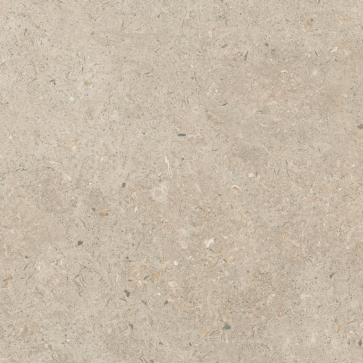 Gotland Kalk Natur Matt Rect. 60x60 CM Klinker - Trendi Kakel - KakelExpress