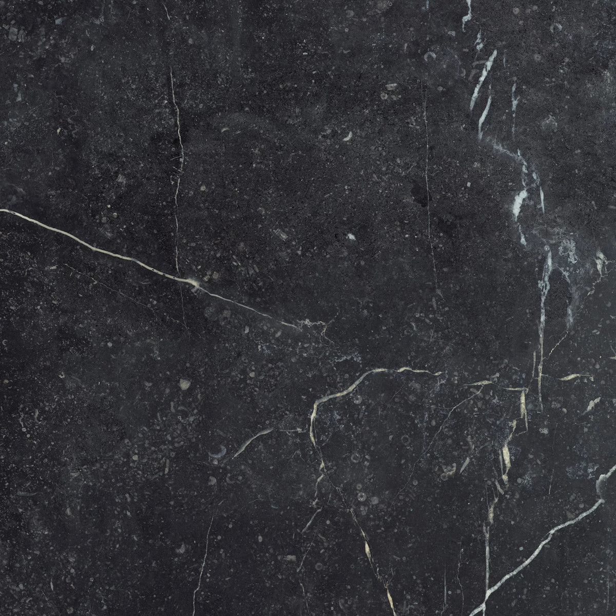 Marmor Nero Matt Rect. 60x60 CM Klinker - Trendi Kakel - KakelExpress