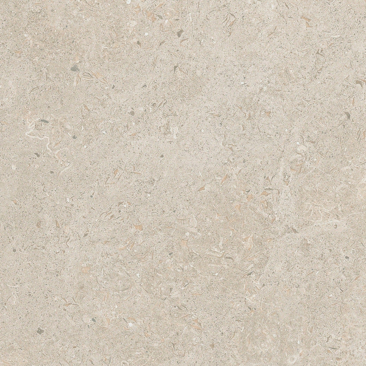 Gotland Kalk Beige Matt Rect. 60x60 CM Klinker - Trendi Kakel - KakelExpress