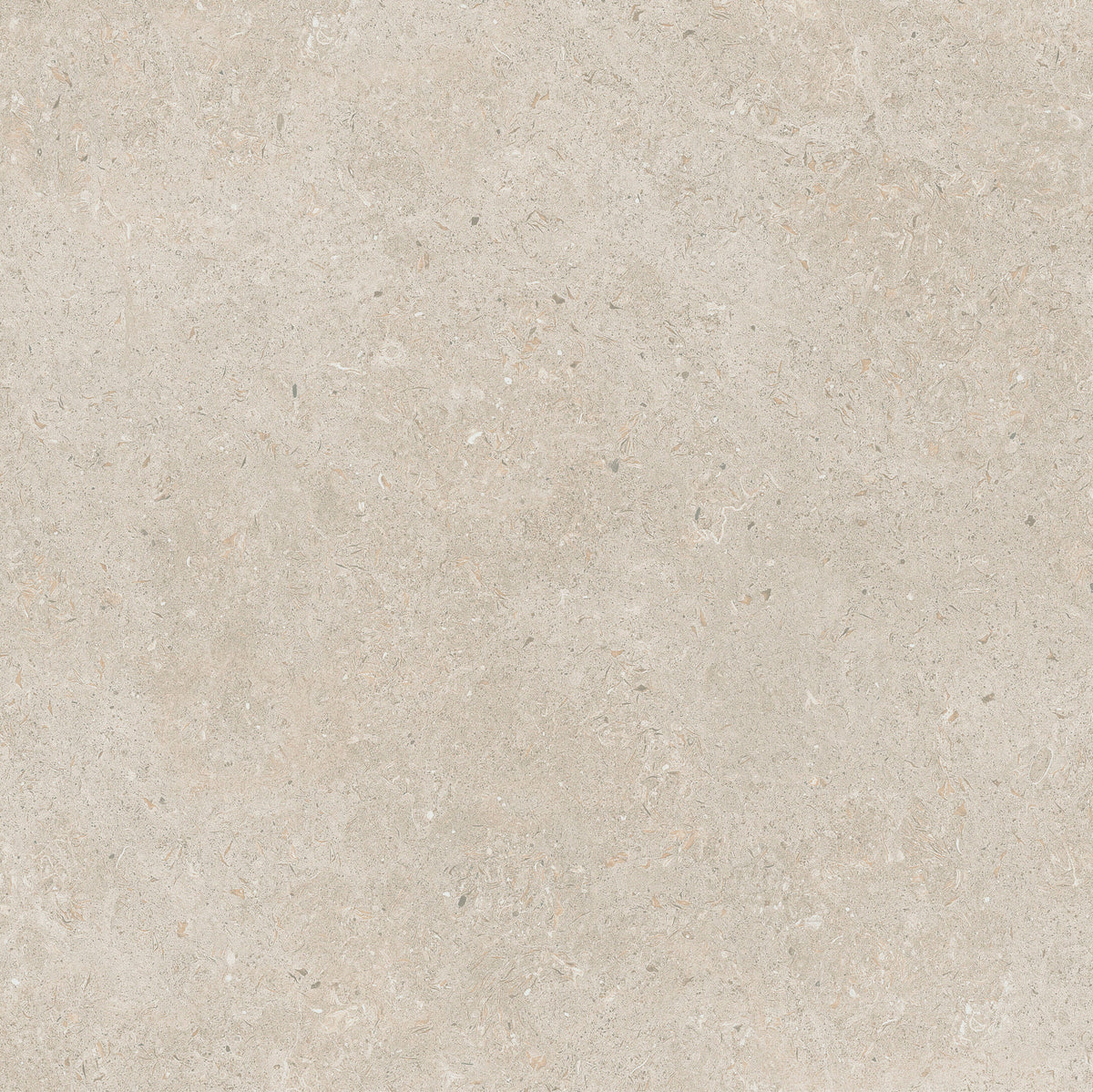 Gotland Kalk Beige Matt Rect. 60x60 CM Klinker - Trendi Kakel - KakelExpress